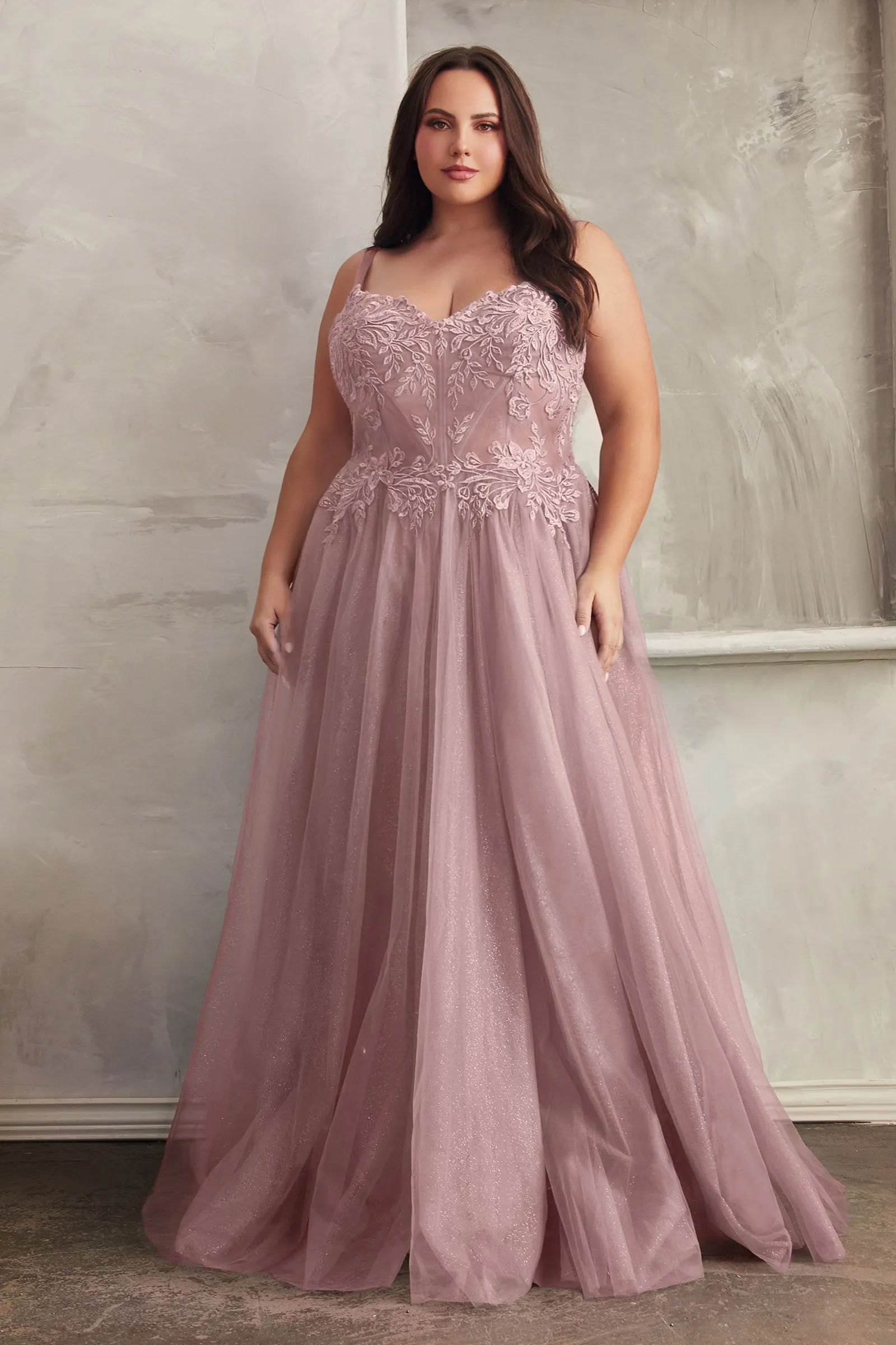 CINDERELLA DIVINE C150C A-Line Stunning Dress with Sheer Bodice