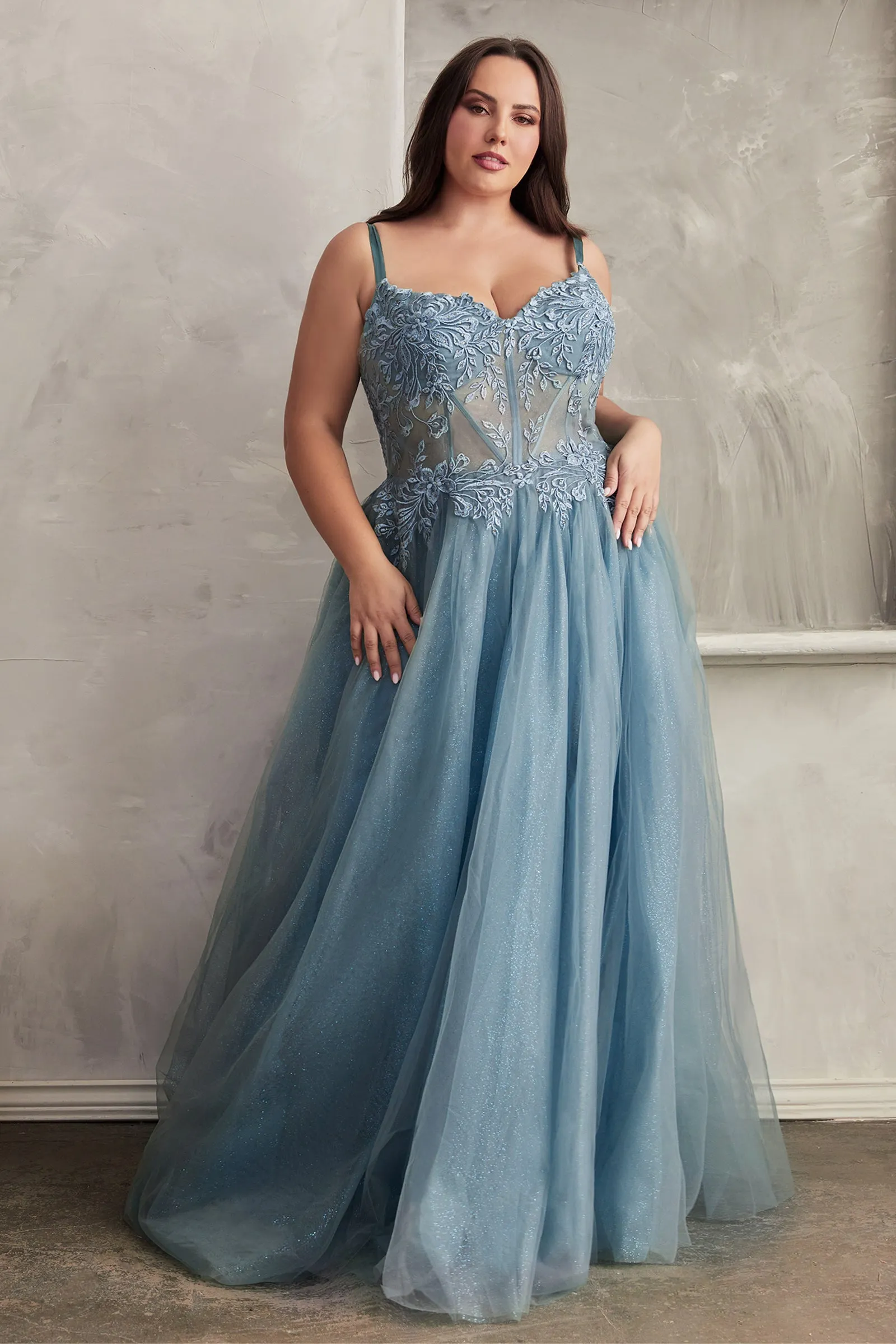 CINDERELLA DIVINE C150C A-Line Stunning Dress with Sheer Bodice