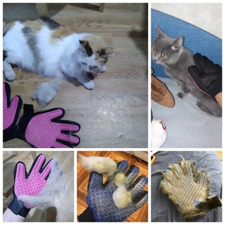 Gentle Grooming: Pet Grooming Gloves for Dogs & Cats!