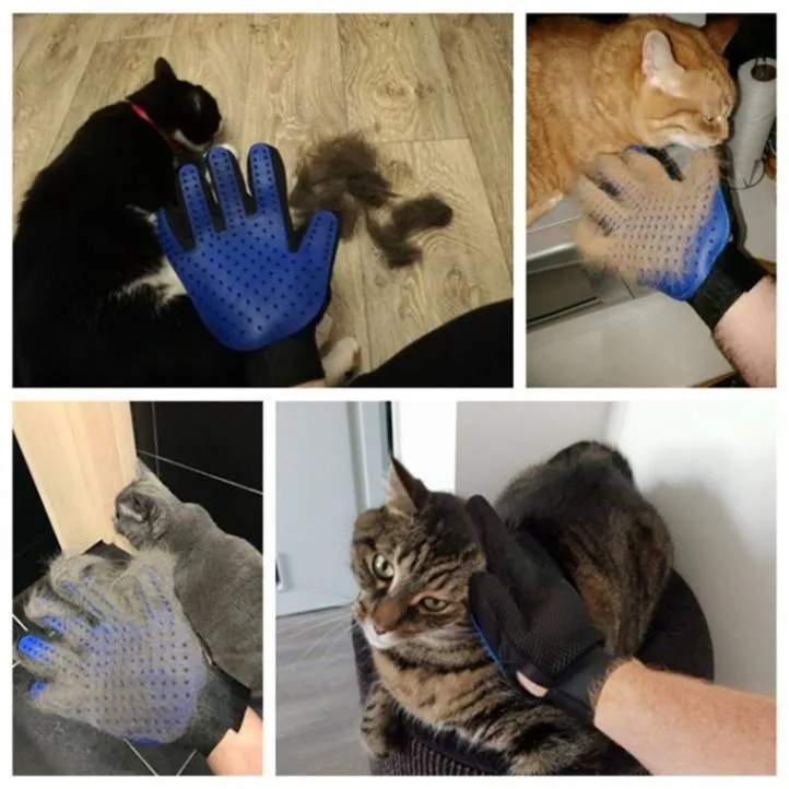 Gentle Grooming: Pet Grooming Gloves for Dogs & Cats!