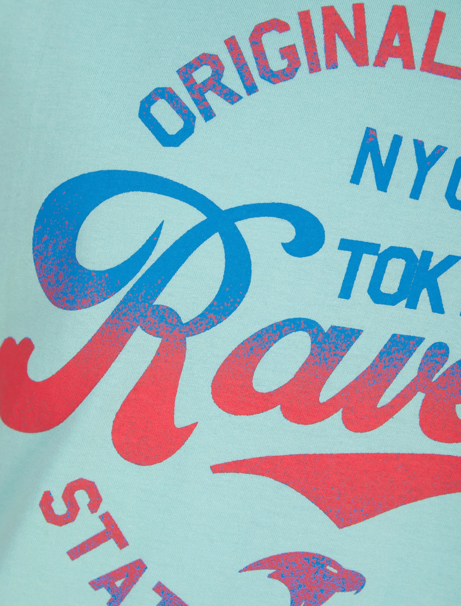 Ravens Gradient Ombre Motif Cotton Jersey T-Shirt in Aqua Haze - Tokyo Laundry