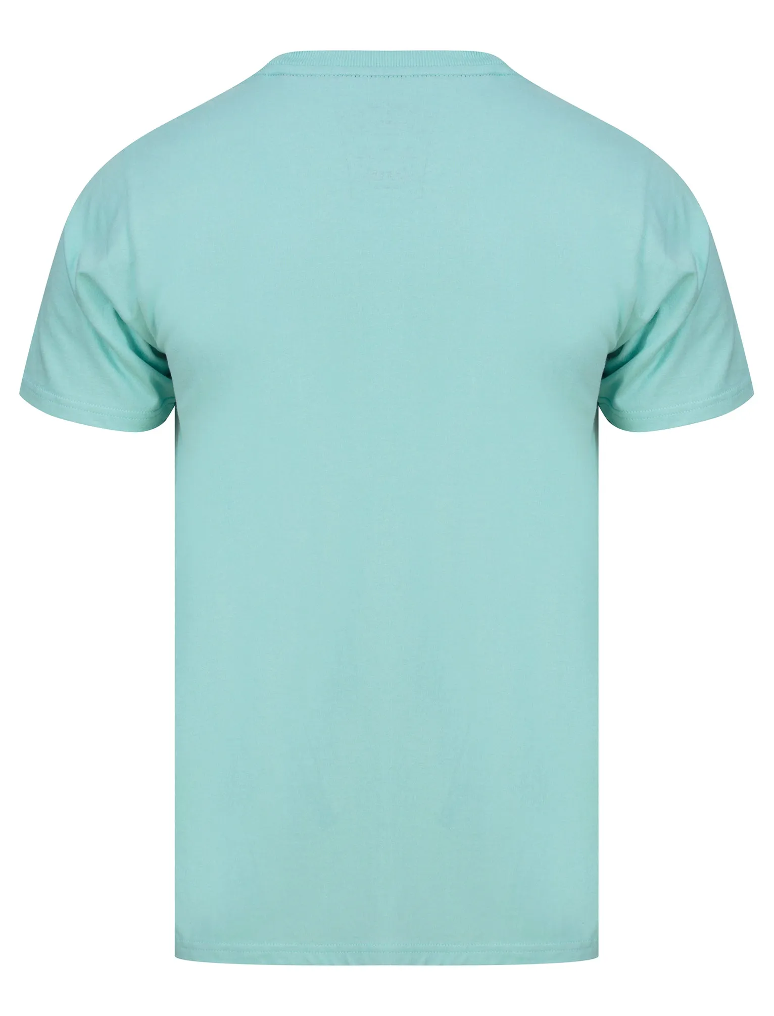 Ravens Gradient Ombre Motif Cotton Jersey T-Shirt in Aqua Haze - Tokyo Laundry