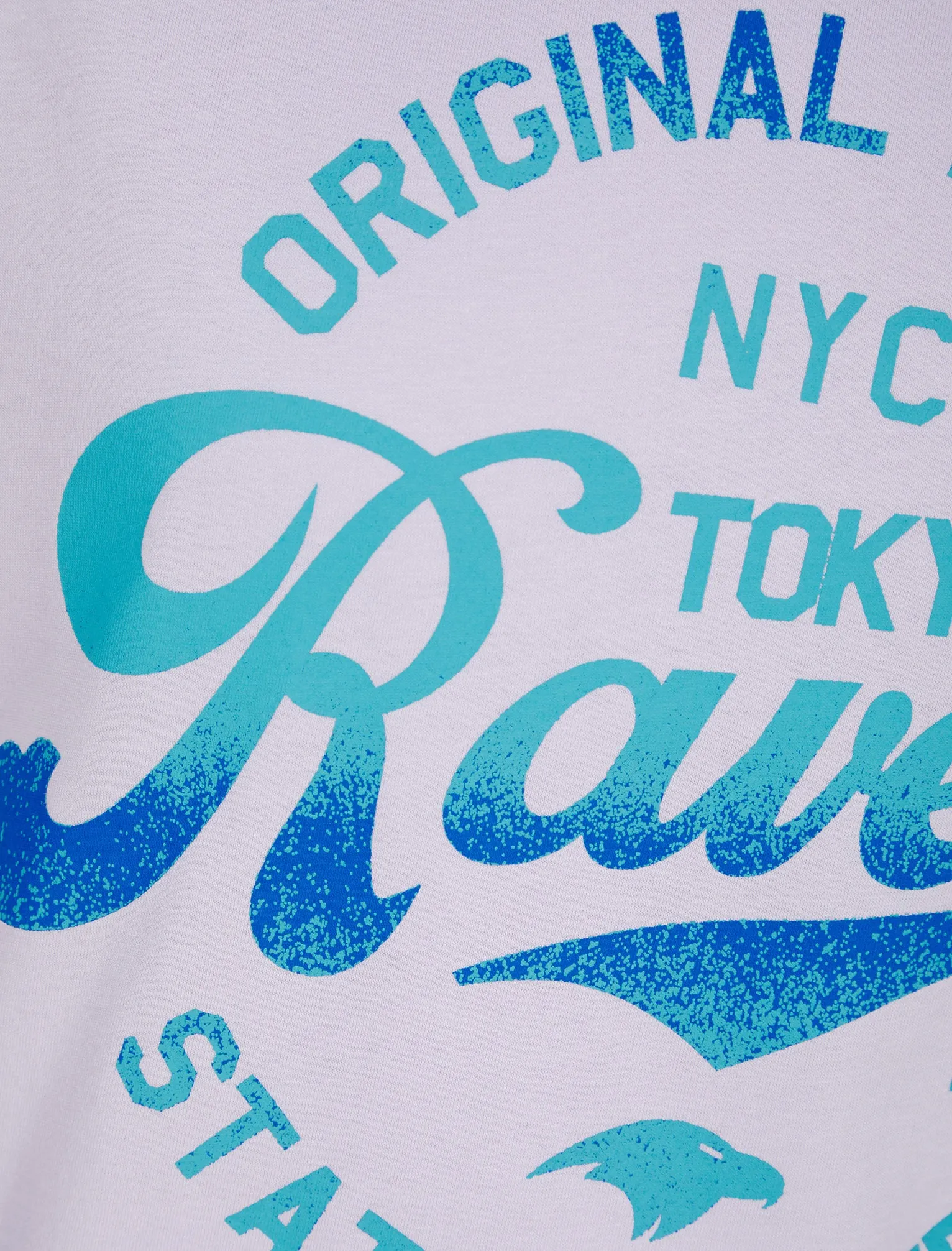 Ravens Gradient Ombre Motif Cotton Jersey T-Shirt in Purple Heather - Tokyo Laundry